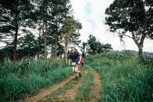 BIB: 
                            <button type="button" onclick="openModal(26036413)" class="btn btn-primary btn-sm float-right btn-popup" data-toggle="modal" data-target=".modal-high-quality">
                        <i class="fas fa-shopping-cart"></i> Add to Cart
                    </button>
                                            <button type="button" onclick="isThisMe(26036413, true)" class="btn btn-success btn-sm float-right btn-popup btn-isme hidden" data-toggle="tooltip" data-placement="bottom" title="นี่คือรูปของคุณใช่ไหม คลิกที่นี่เพื่อเอาเข้าอัลบั้ม">
                        <i class="fas fa-plus"></i> Add to album
                    </button>
                    <button type="button" onclick="isThisMe(26036413, false)" class="btn btn-warning btn-sm float-right btn-popup btn-isnotme hidden">
                        <i class="fas fa-ban"></i> Remove from album
                    </button>